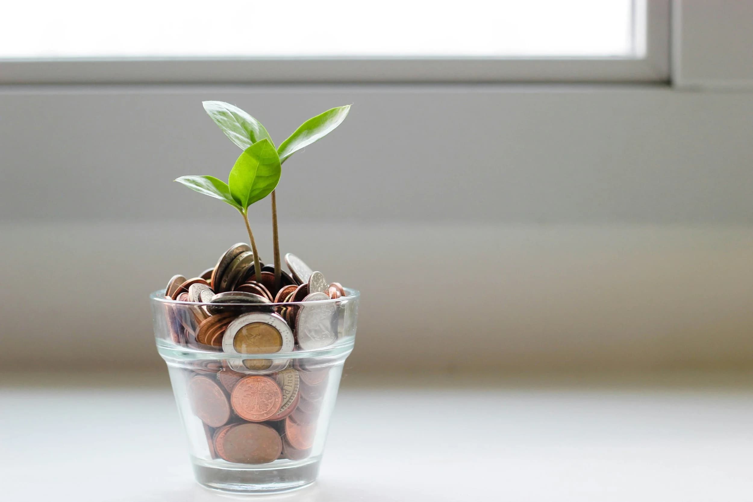 Coins with a plant growing, startup equity as long-term investment